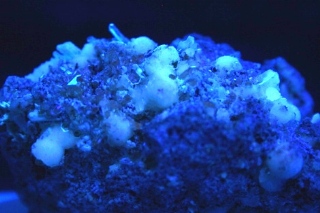 Calcite, Apatite - La Celia, Jumila, Spain